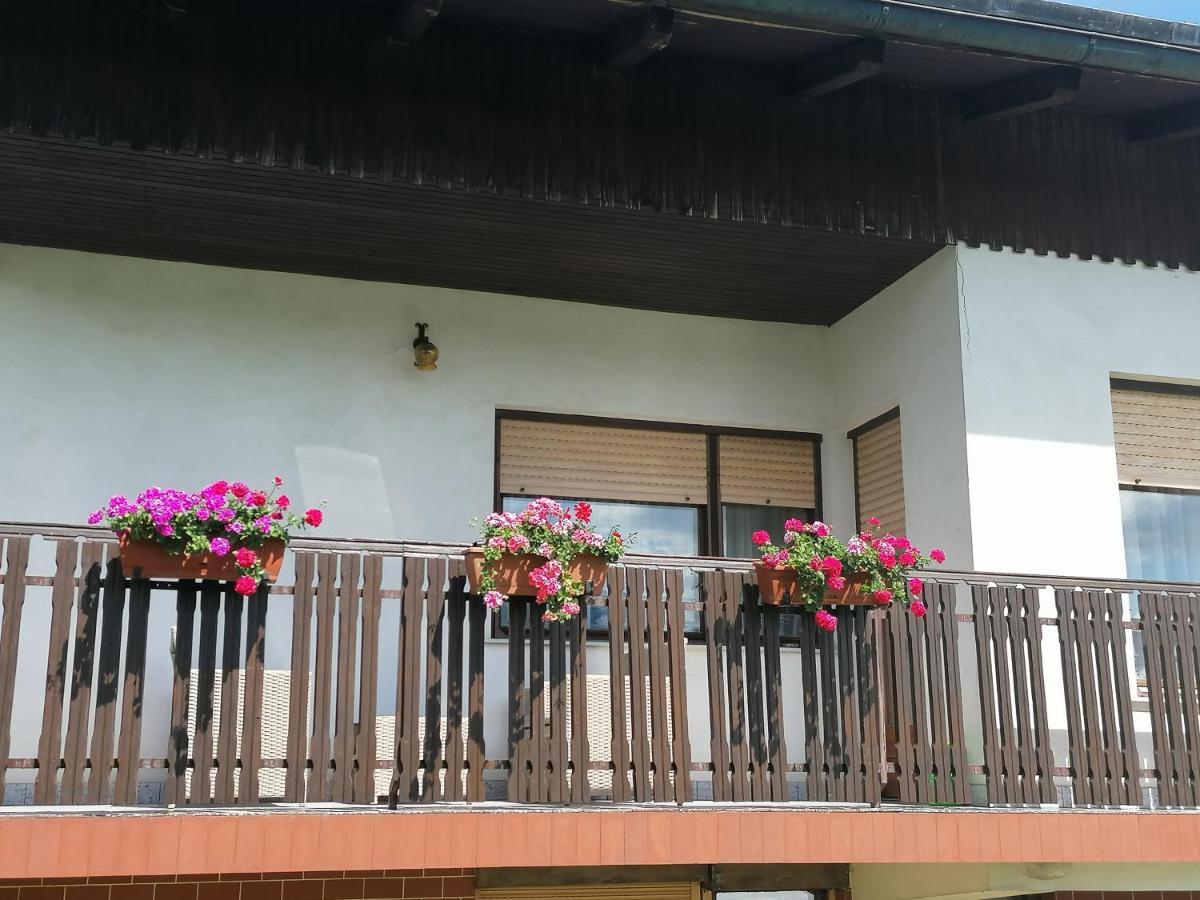 Apartments Novak Ljubno Extérieur photo