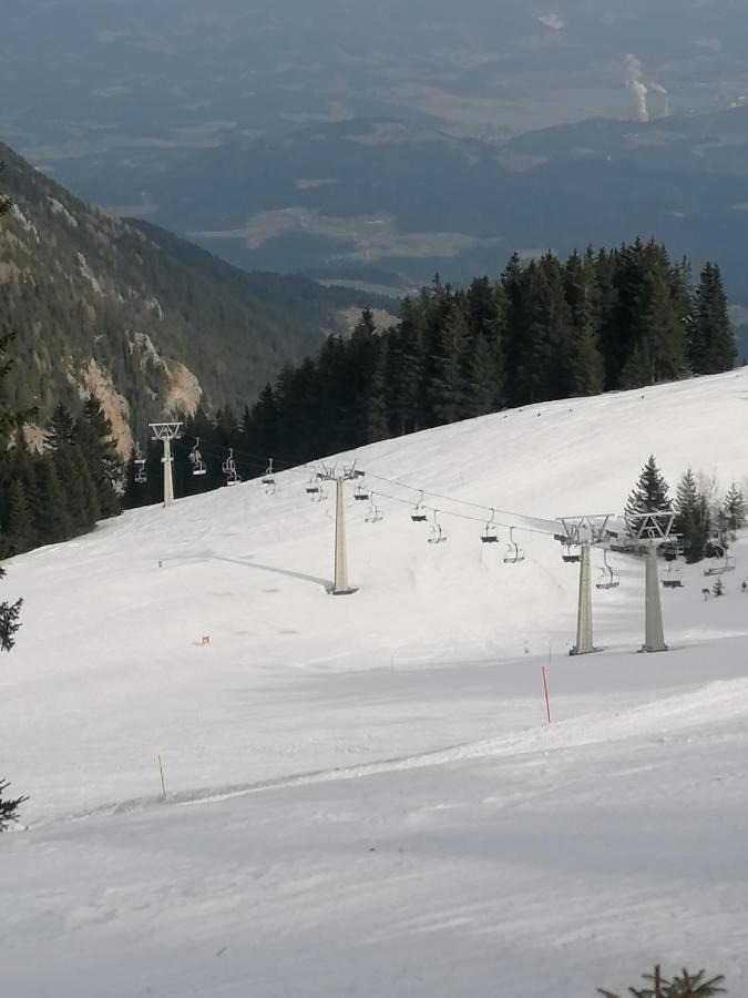 Apartments Novak Ljubno Extérieur photo